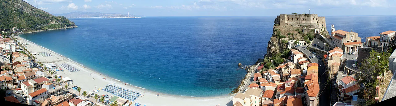 Allenamento muscolare e organico